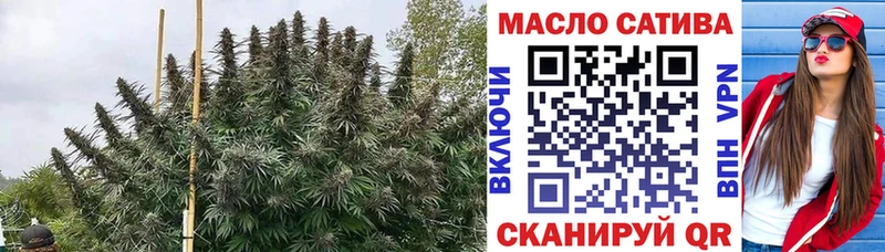 мориарти официальный сайт  Новотитаровская  ТГК гашишное масло 